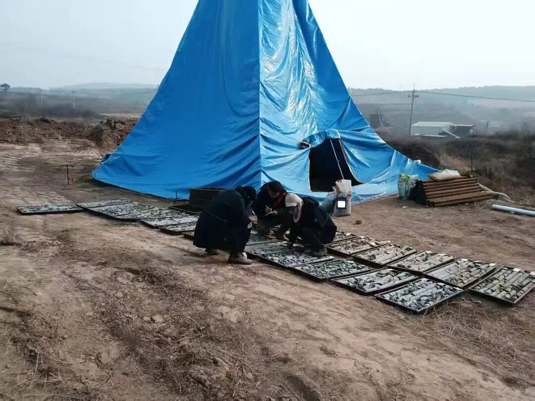 图片3.png 图片3.png