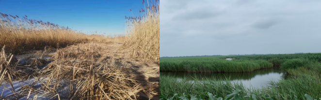 微信图片_20251229174113_138_3.png 微信图片_20251229174113_138_3.png